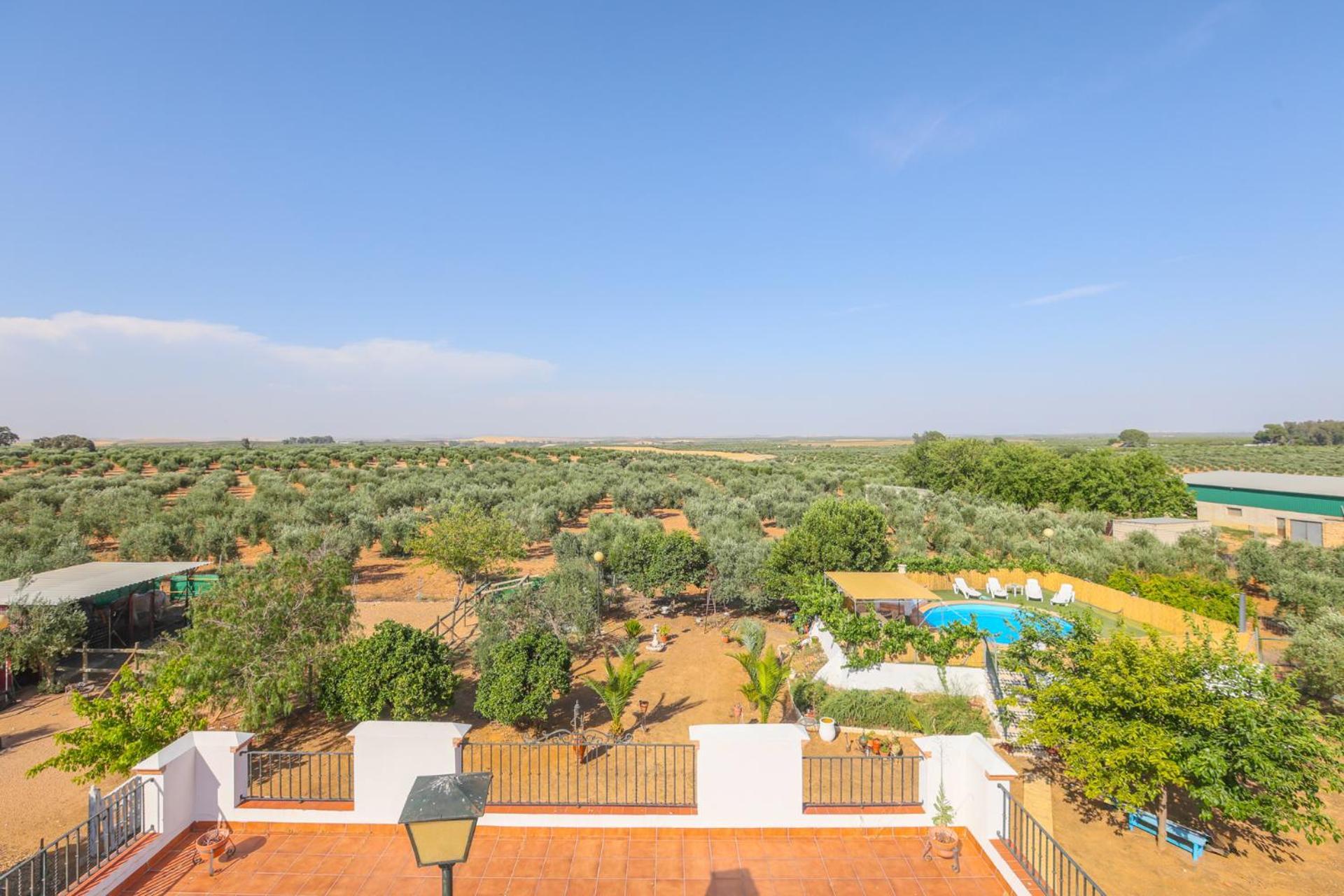 Casa Rural Los Miradores Марчена Экстерьер фото