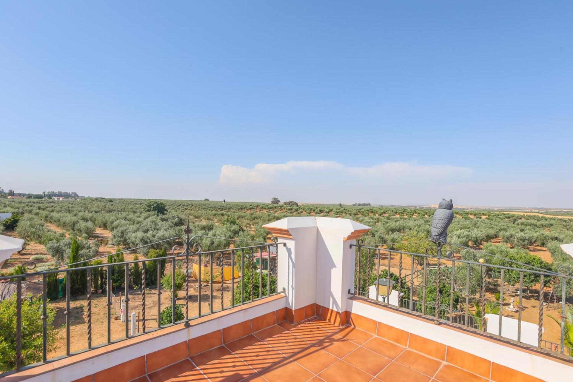 Casa Rural Los Miradores Марчена Экстерьер фото
