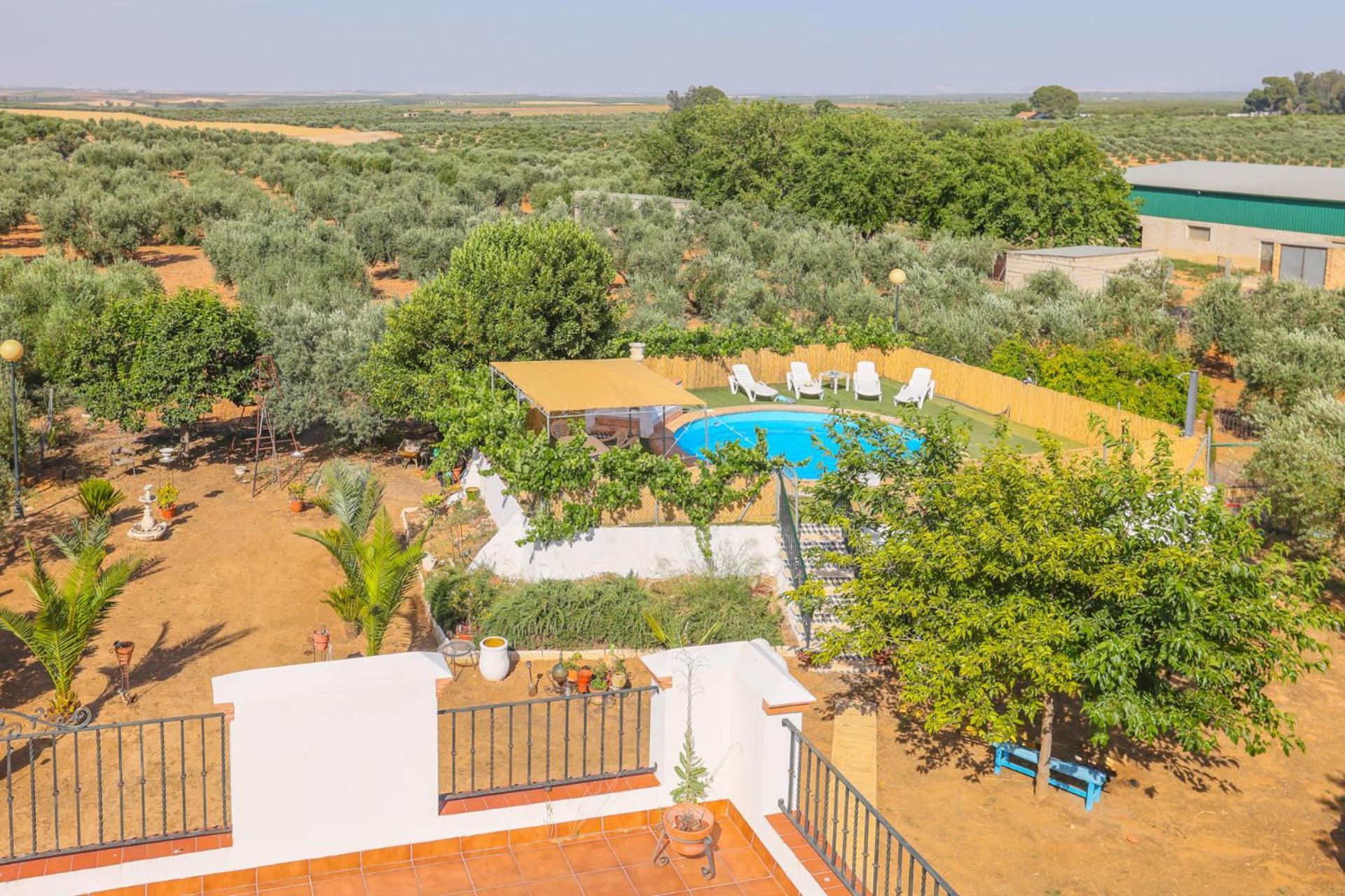 Casa Rural Los Miradores Марчена Экстерьер фото